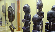 Museum of Anthropology